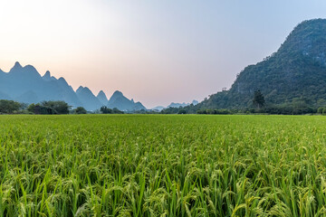 河南施耐力生物科技有限公司怎么样？